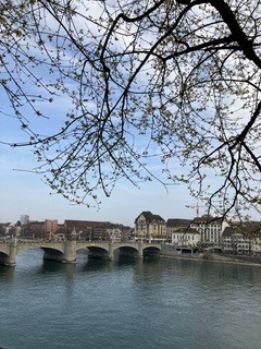Unser Quartier am Rhein